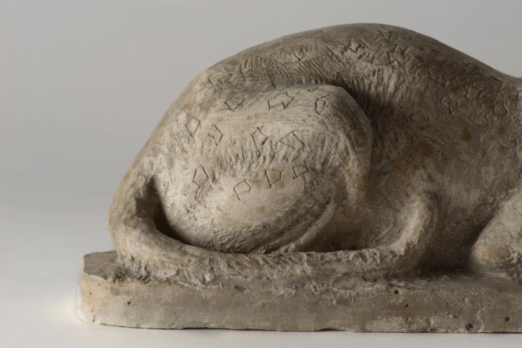 Derri&egrave;re du chat